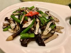 鸡纵菇-同济大酒店(绿宝广场店)