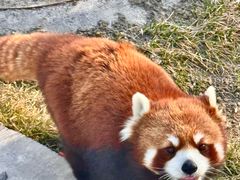 -水上乐园·欢乐世界