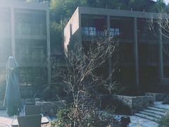 -看见远方·莫干遥远的山民宿