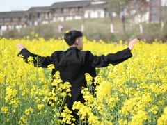 -金卉庄园