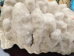 -北国之春国宴(乌兰察布店)