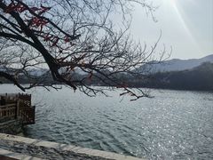-河姆渡遗址博物馆