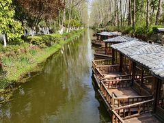 -合肥滨湖国家森林公园