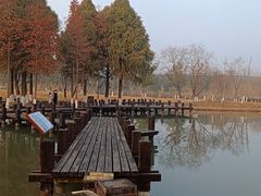 -沙家浜风景区