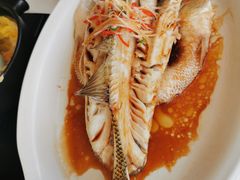清蒸鲈鱼-青梅酒肆PLUS(长白仙岛北路店)