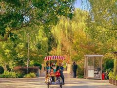 -昆山城市生态森林公园