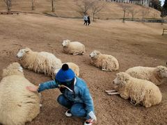 -神户市立六甲山牧场