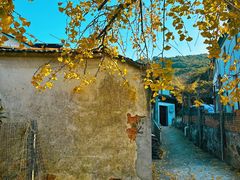 -西山风景区