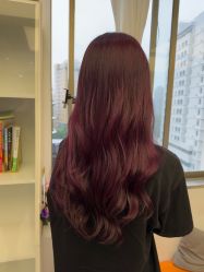 -镁连社·美联社