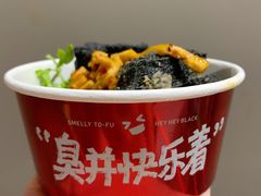 -黑色经典臭豆腐·湖南特产(潇湘文化店)