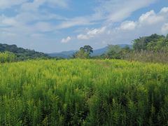 -许家山