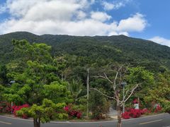 -海南热带雨林国家公园吊罗山景区