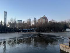-团结湖公园