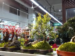 -双季花艺园艺市场(浦东店)