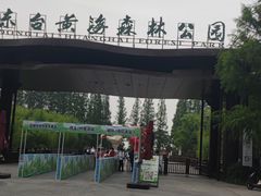 -黄海国家森林公园