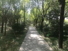 -唐城墙遗址公园