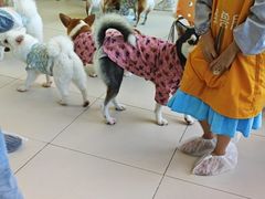 -怪兽屋·羊驼·猫咖·狗咖(俊华广场店)