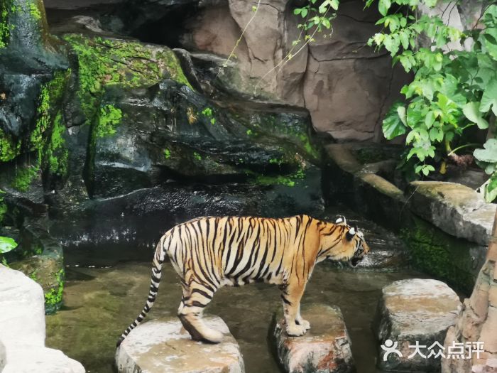 长鹿旅游休博园图片