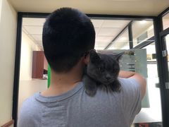 -艾贝尔宠物诊疗