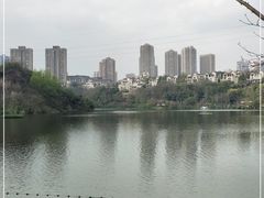 -重庆彩云湖湿地公园