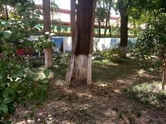 -南岳衡山风景名胜区-南岳大庙