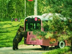 -北京野生动物园