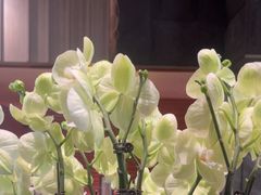 -汤悦温泉酒店(成都春熙路天府广场店)