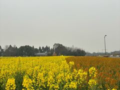 -中国天府农业博览园