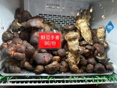 -太婆天府山珍酒楼(亚运村店)