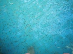 -郑州银基黄帝宫御温泉