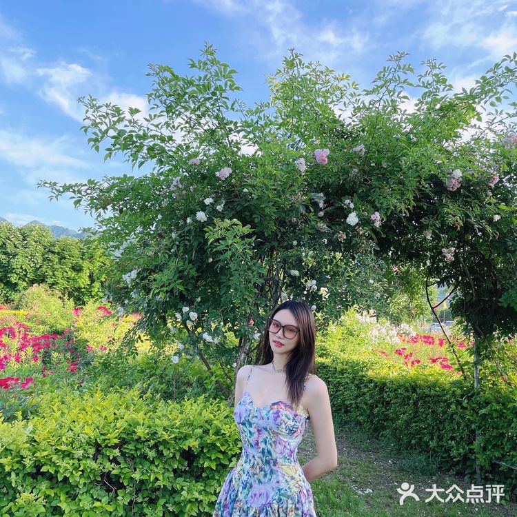 西安周边游｜莫奈花园