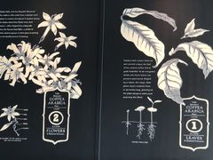 -星巴克(合肥包河万达广场店)