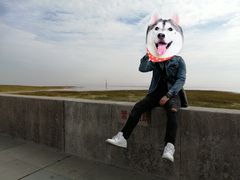 -南汇嘴观海公园