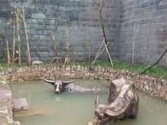 -燊海井