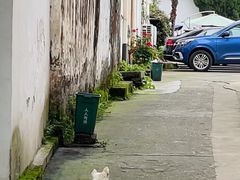 -西溪南古村落