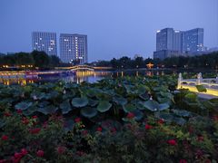 -西海子公园