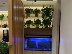 -智慧盲人按摩艾灸-颈肩腰膝疼痛调理(浦东店)