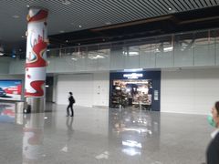 -广东惠东海龟国家级自然保护区