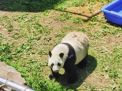 -沈阳森林动物园