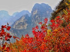 -狼牙山风景区