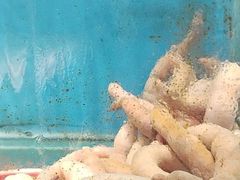 -潮庭·大连海鲜·炭火烧烤·扇贝王(大连店)