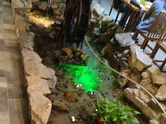 -花溪雨·森林餐厅(石基店)