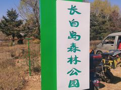 -长白岛森林公园