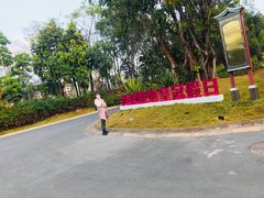 -西双版纳融创皇冠假日度假酒店