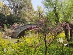 -南汇桃花村