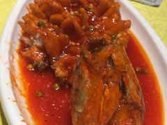 -新侨小馆(东直门北小街店)