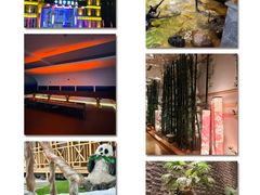 -星河湾温泉洗浴酒店