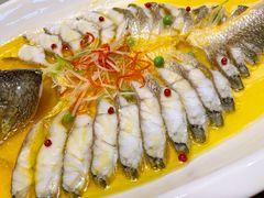 鸡汁蒸东海大黄鱼-必点海鲜·鲅鱼水饺(鞍山西道店)