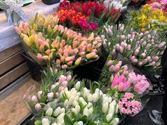 -循礼门鲜花花市(武汉循礼门店)