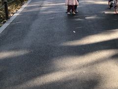 -苏堤停车场